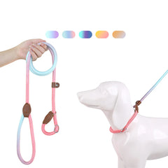 Nylon P Chain Dog Leash Gradient Colours Pet Collar and Leash In One Thickened Nylon Durable for Small Medium Large Dog Supplies