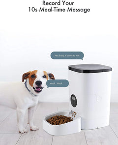 Smart Durable Finger Pressure Automatic Pet Feeder Dog Cat Food Dispenser Station Bowl Timer Dish Feed