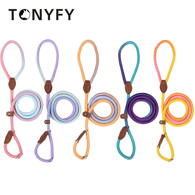 Nylon P Chain Dog Leash Gradient Colours Pet Collar and Leash In One Thickened Nylon Durable for Small Medium Large Dog Supplies